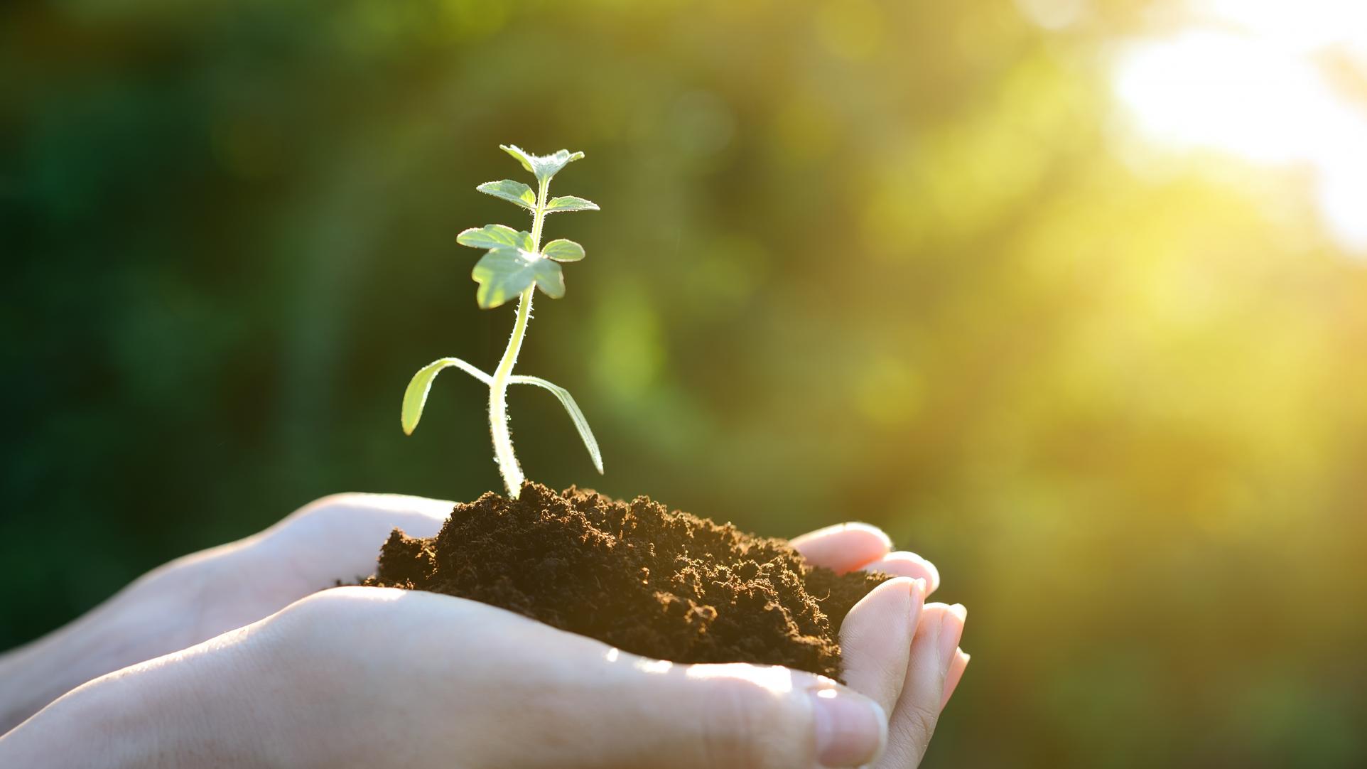 A Renewed Mind Time To Get Ready Ministries